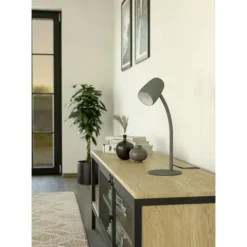 Candeeiro de Mesa Verde Lodengrün com Braço Articulado CARLO EGLO 901831