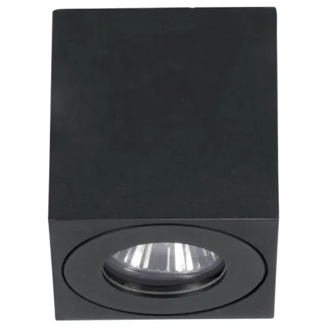 Candeeiro de teto exterior preto quadrado TORRECOLA EGLO 901029