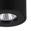 Candeeiro de teto exterior preto TORRECOLA EGLO 901028