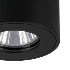 Candeeiro de teto exterior preto TORRECOLA EGLO 901028