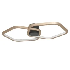 Candeeiro de teto LED com design orgânico e controlo remoto ESTRELLA EGLO 390506