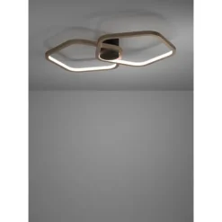 Candeeiro de teto LED com design orgânico e controlo remoto ESTRELLA EGLO 390506