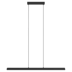 Candeeiro de teto suspenso LED com difusor acrílico CAMBULOS EGLO 99599