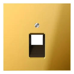 Capa para caixas de derivação 1 x 8-pólos Série LS dourado JUNG GO2969-1UA