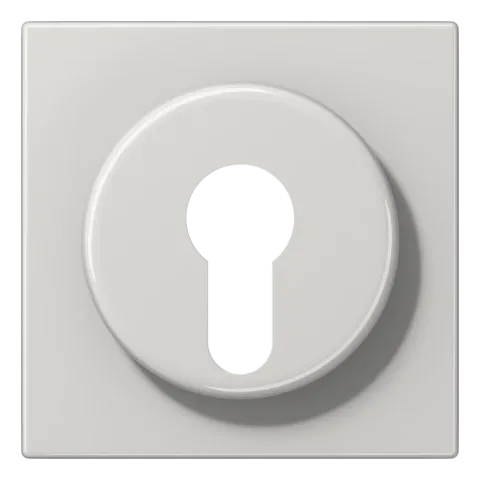 Capa para Interruptor de Chave com Proteção Cinzento Claro LS JUNG LS928LG