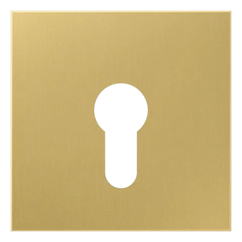 Capa para Interruptor de Chave Latão Classic Série LS JUNG ME2925C