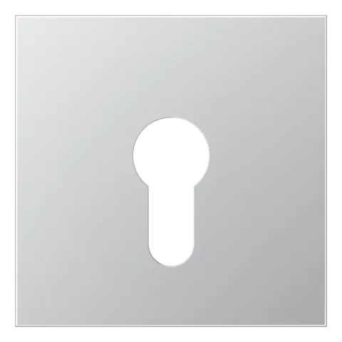 Capa para Interruptor de Chave Alumínio Série LS JUNG AL2925