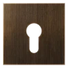 Capa para Interruptor de Chave Latão Antik Série LS JUNG ME2925AT