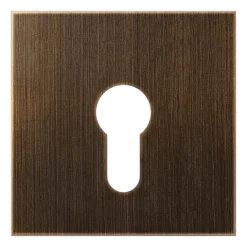 Capa para Interruptor de Chave Latão Antik Série LS JUNG ME2925AT