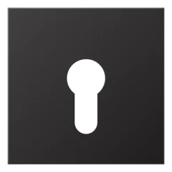 Capa para Interruptor de Chave Alumínio Lacado Série LS JUNG AL2925D