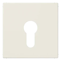 Capa para Interruptor de Chave Sem Proteção Marfim LS JUNG LS925