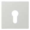 Capa para Interruptor de Chave Cinzento Claro LS JUNG LS925LG