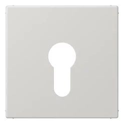 Capa para Interruptor de Chave Cinzento Claro LS JUNG LS925LG