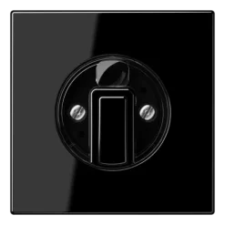 Capa para Interruptores Giratórios Preto LS JUNG LS1941SW