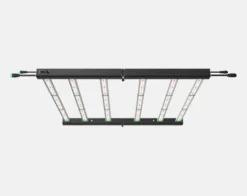 Iluminação para cannabis HORTI FRAME MASTER PRO 320W