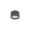Luminária Saliente de Teto para Exterior em Aço Inox 316 Tromilux 2060.107.7F4 Grafite