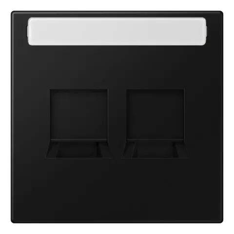 Placa central para conectores RJ 2x cinzento claro LS JUNG LS1969-25NAWELG