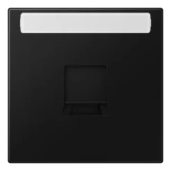 Placa central para conectores RJ com campo de inscrição LS JUNG LS1969-15NAWELG