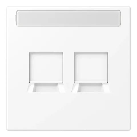 Placa central para conectores RJ 2x LS JUNG LS1969-25NAWESW
