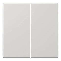 Tecla duplo cinzento claro Duroplástico LS JUNG LS995LG