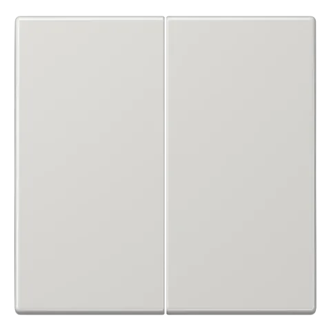 Tecla duplo cinzento claro F10 JUNG LS102LG