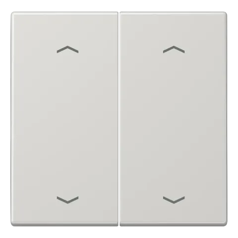 Tecla Duplo com Símbolos de Setas Cinzento Claro LS JUNG LS995MPLG