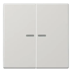 Tecla duplo com visor cinzento claro LS JUNG LS995KO5LG