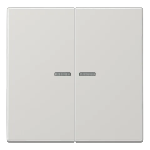Tecla duplo com visor cinzento claro LS JUNG LS995KO5LG