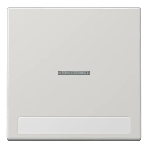 Tecla simples com campo de inscrição e visor cinzento claro LS JUNG LS990NAKO5LG