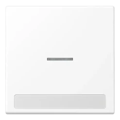 Tecla simples com campo de inscrição e visor branco mate LS JUNG LS990NAKO5WWM
