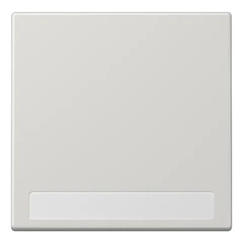 Tecla simples com campo de inscrição cinzento claro LS JUNG LS990NALG