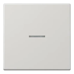 Tecla simples com visor cinzento claro LS JUNG LS990KO5LG