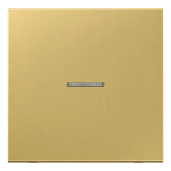 Tecla simples com visor latão classic Série LS JUNG ME2990KO5C