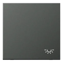 Tecla simples símbolo luz alumínio lacado antracite LS JUNG AL2990LAN