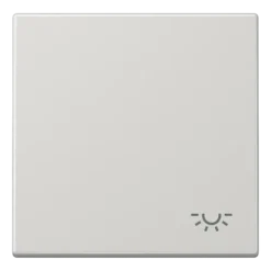 Tecla simples símbolo luz LS JUNG cinzento claro LS990LLG