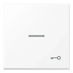 Tecla simples símbolo porta com visor branco mate LS JUNG LS990KO5TWWM