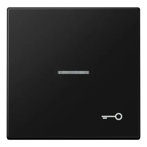 Tecla simples símbolo porta com visor preto mate LS JUNG LS990KO5TSWM