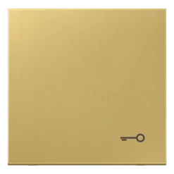 Tecla simples símbolo porta latão classic LS JUNG ME2990TC