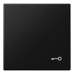 Tecla simples símbolo porta preto mate LS JUNG LS990TSWM