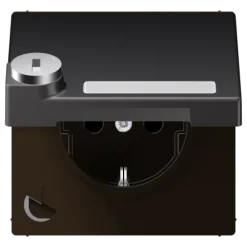Tomada SCHUKO® com Campo de Inscrição e Tampa Basculante LS JUNG AL1520NAKLSLD