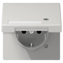 Tomada SCHUKO® com Tampa Basculante Cinzento Claro LS1520NAKLKOLG JUNG LS1520NAKLKOLG